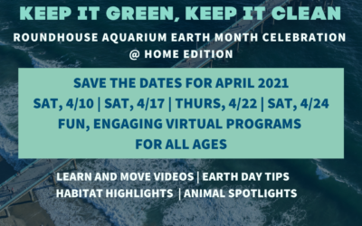 Keep It Green, Keep It Clean Earth Month Celebration @Home Edition