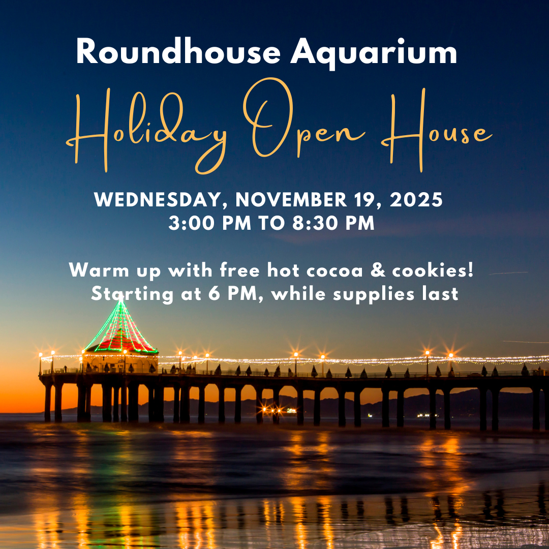 Dolphin mom and baby