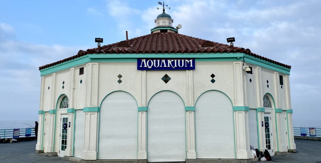 Roundhouse Aquarium Goes Virtually Around the World
