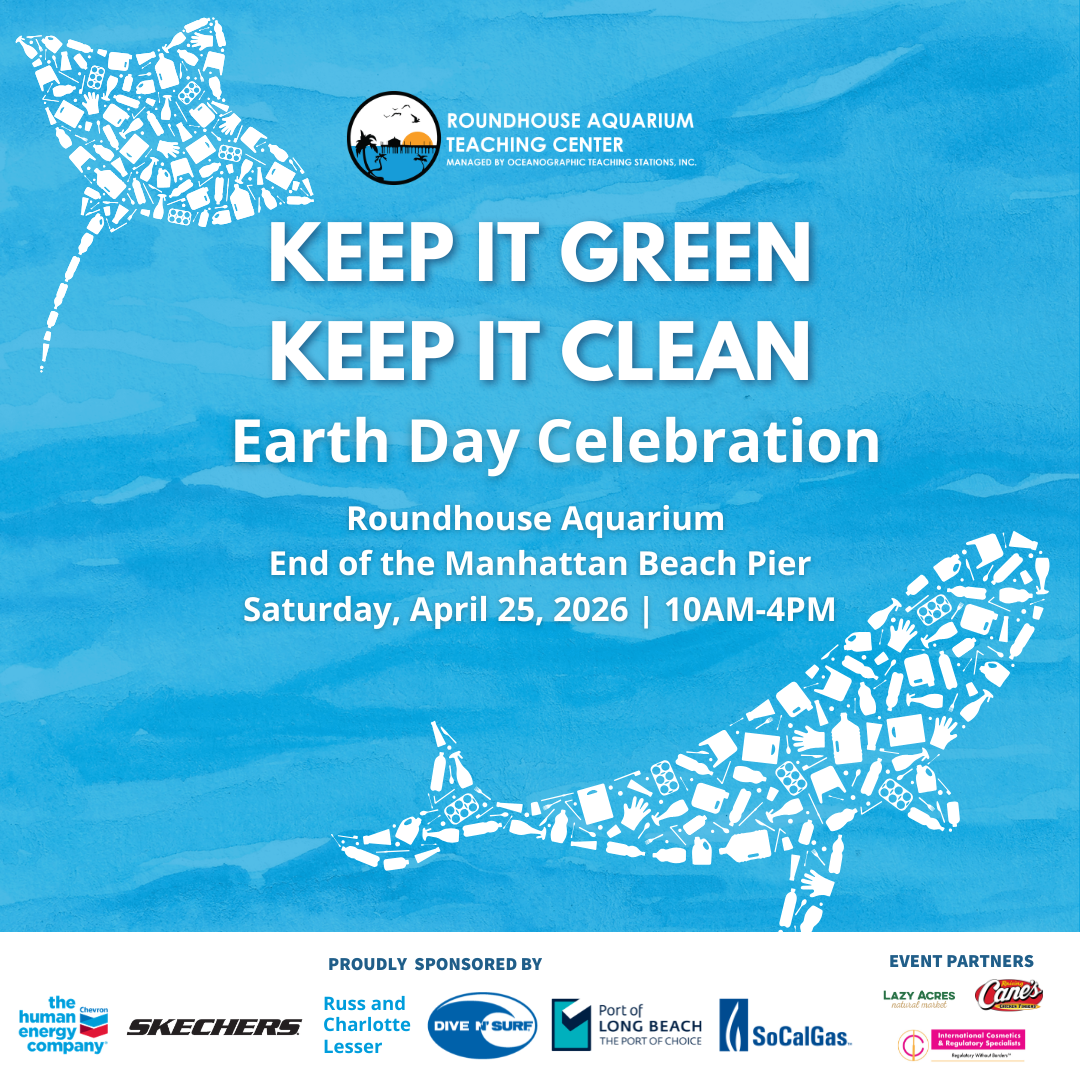 KEEP IT GREEN KEEP IT CLEAN (2)