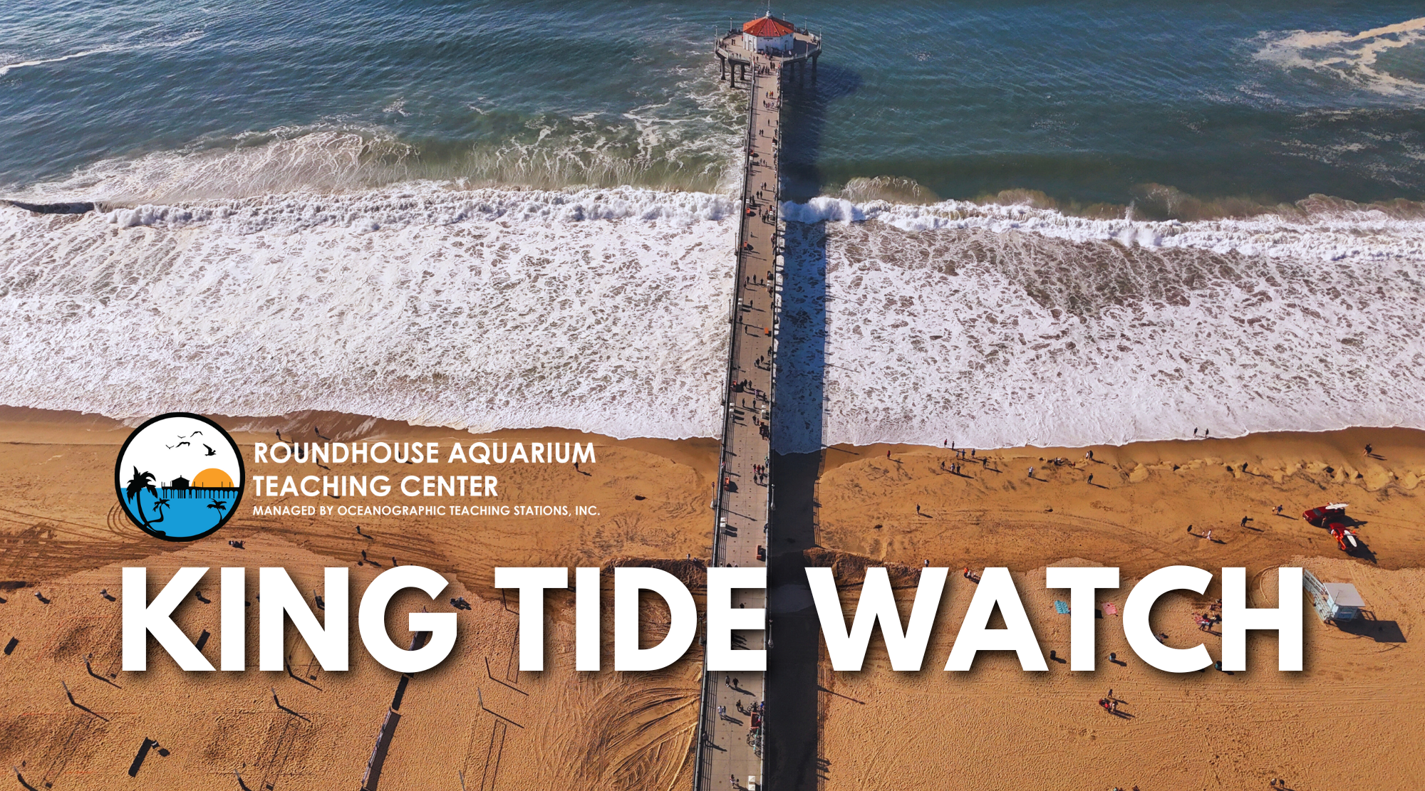 King Tide Watch Website Banner