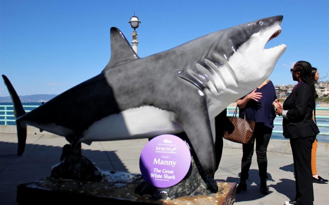 Meet Manny the Great White Shark Outside the Roundhouse Aquarium