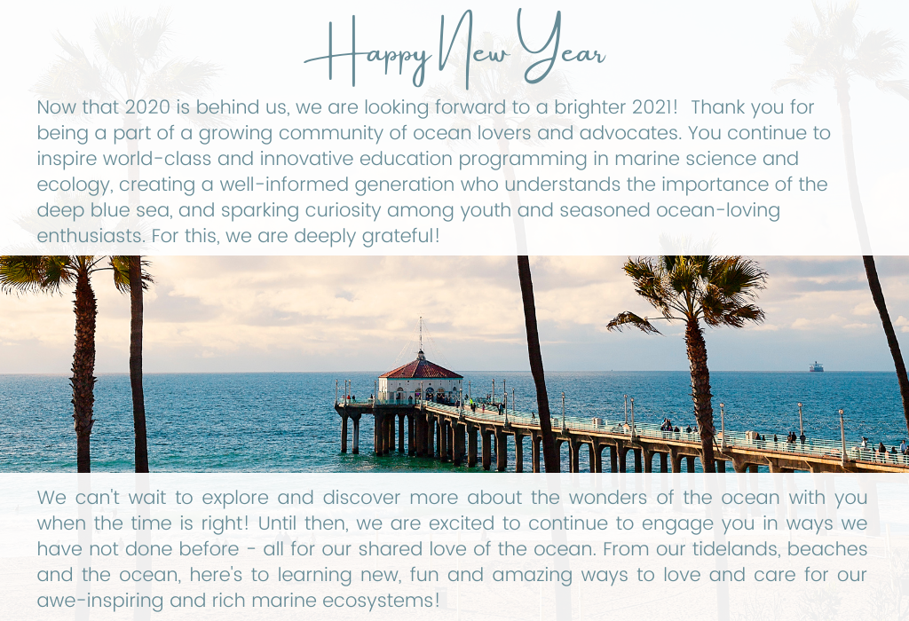 New Year website header