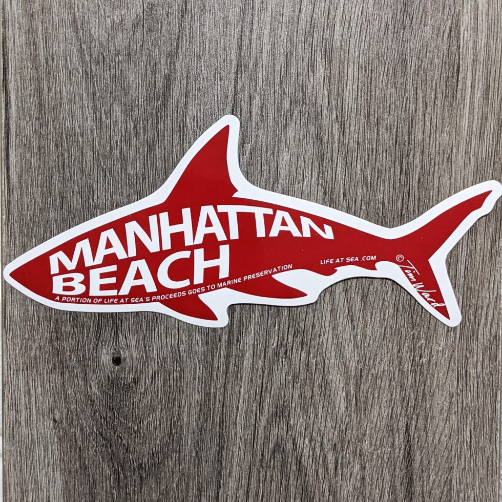 Roundhouse Aquarium Teaching Center Manhattan Beach, California