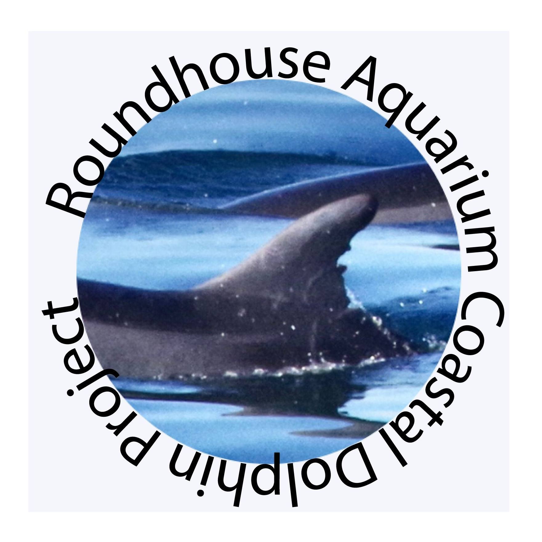 Roundhouse Aquarium Dolphin Project
