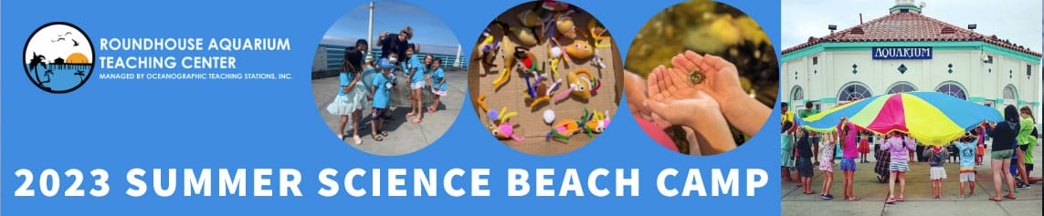 S2023-Summer-Science-Beach-Camp 2023 Summer Science Beach Camp