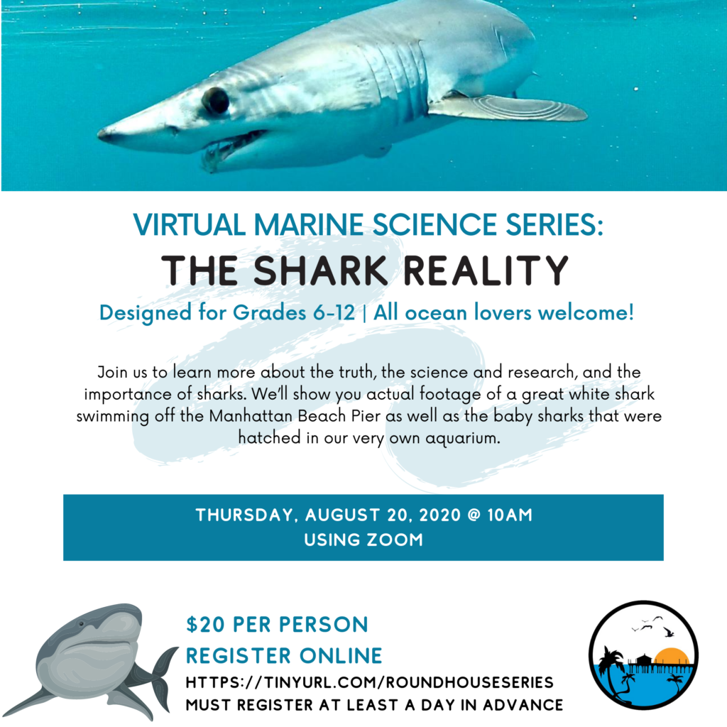 virtual aquarium shark