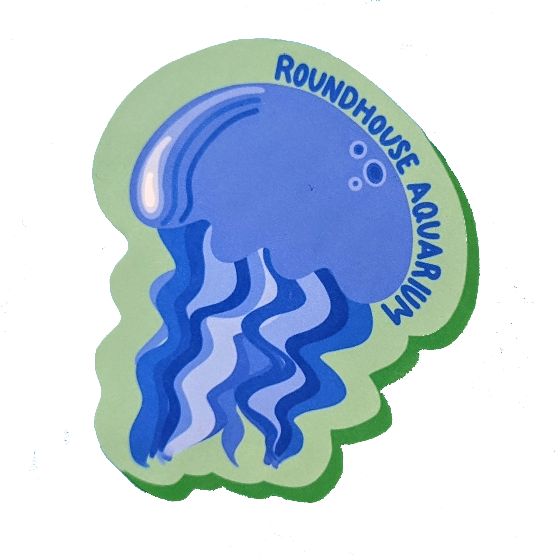 Sea Star Sticker - Roundhouse Aquarium Teaching Center - Manhattan