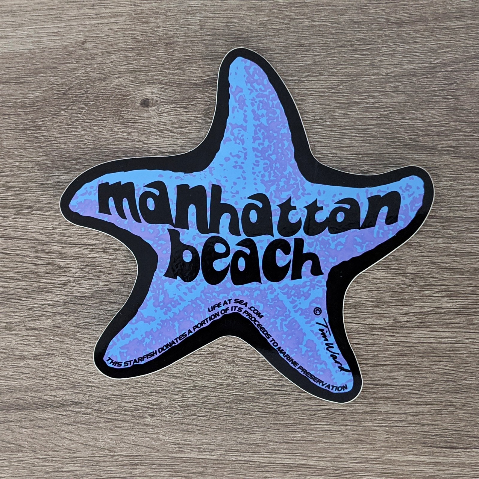 Sea Star Sticker - Roundhouse Aquarium Teaching Center - Manhattan Beach,  California