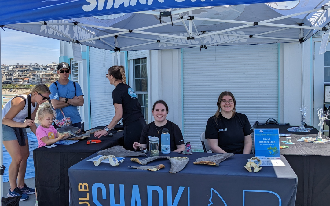 Shark Shack is Coming!