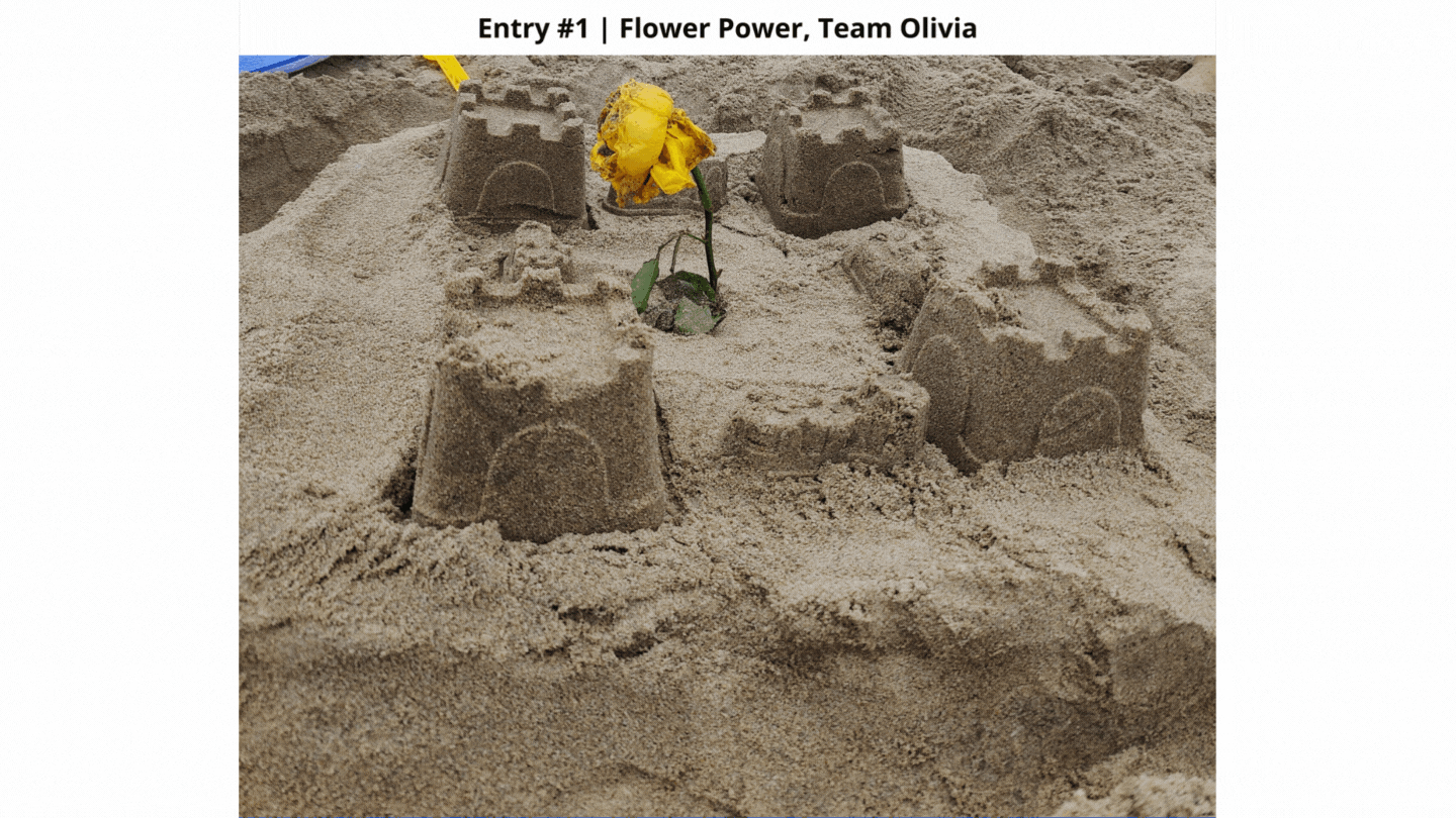 gif of entries
