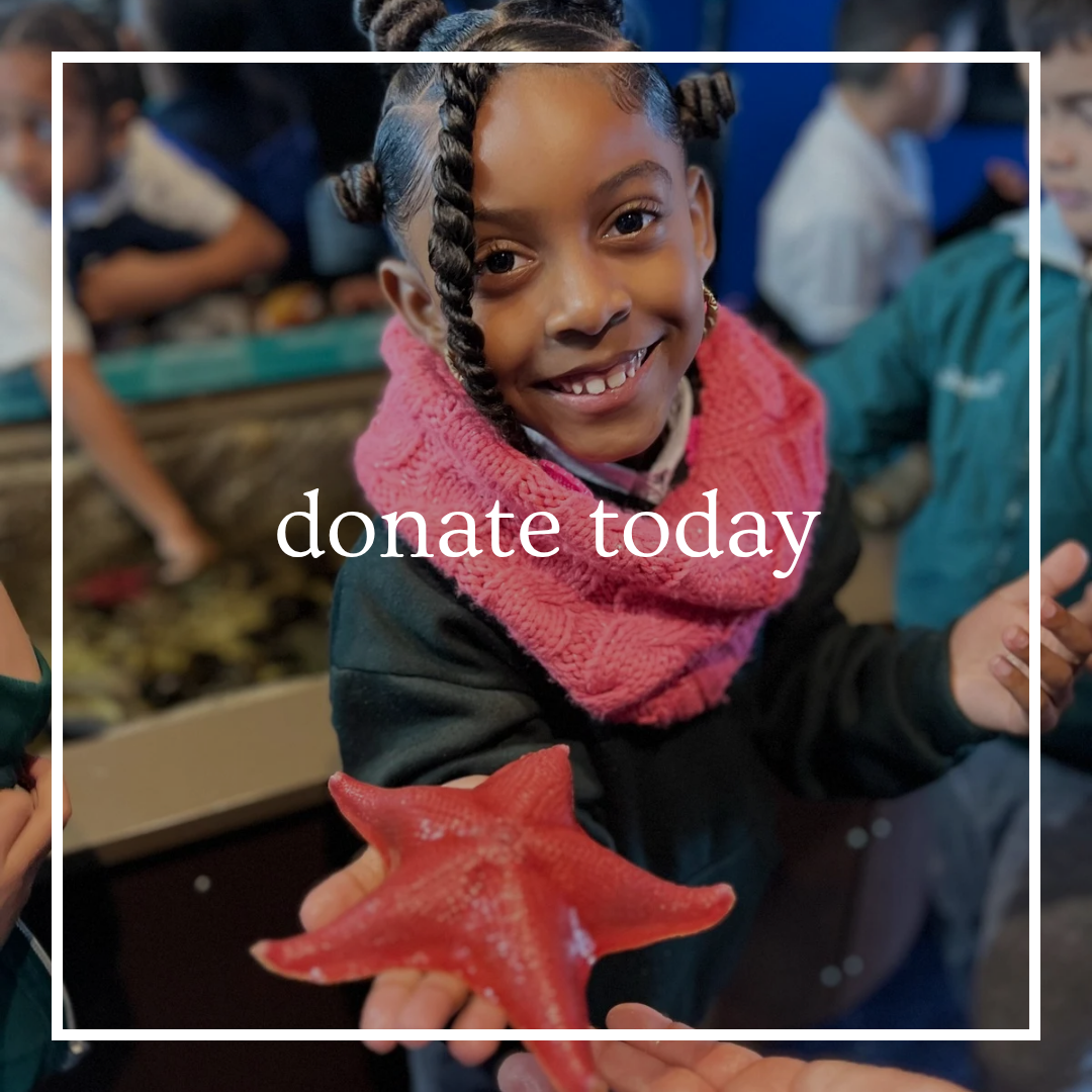 Dolphin mom and baby