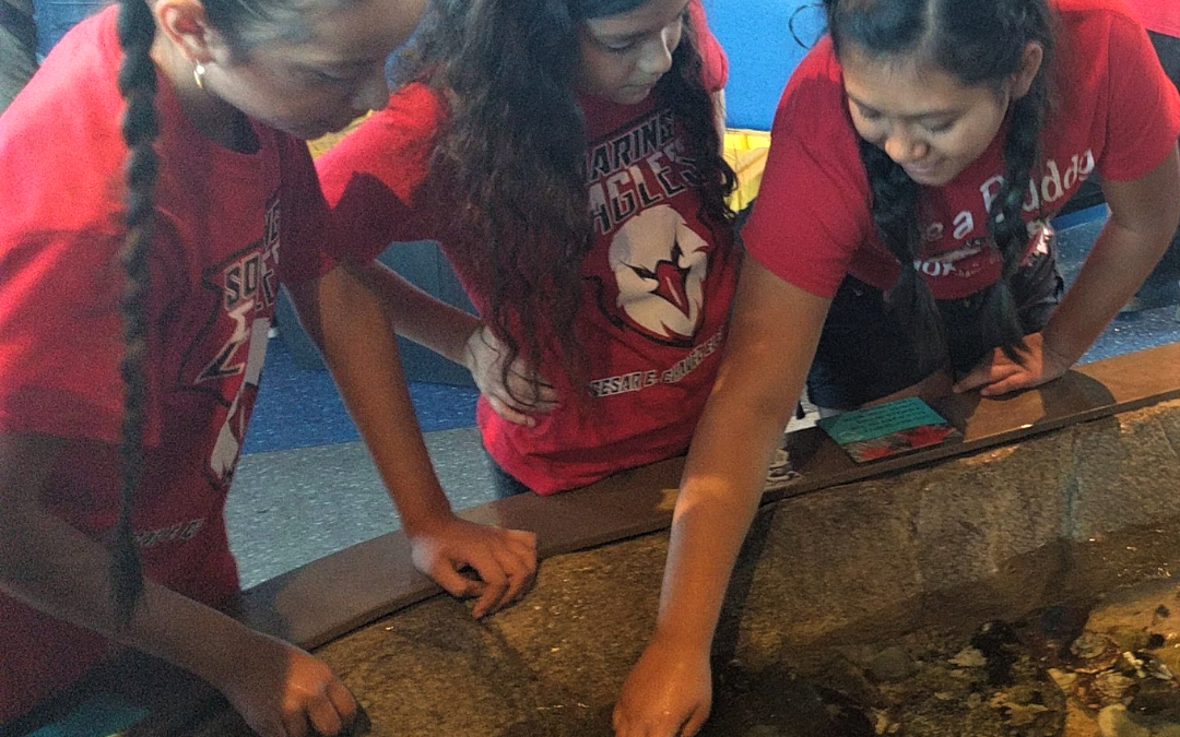 A Passionate Community Effort Transforms Manhattan Beach’s Iconic Roundhouse Aquarium Into A Meaningful Family Experience