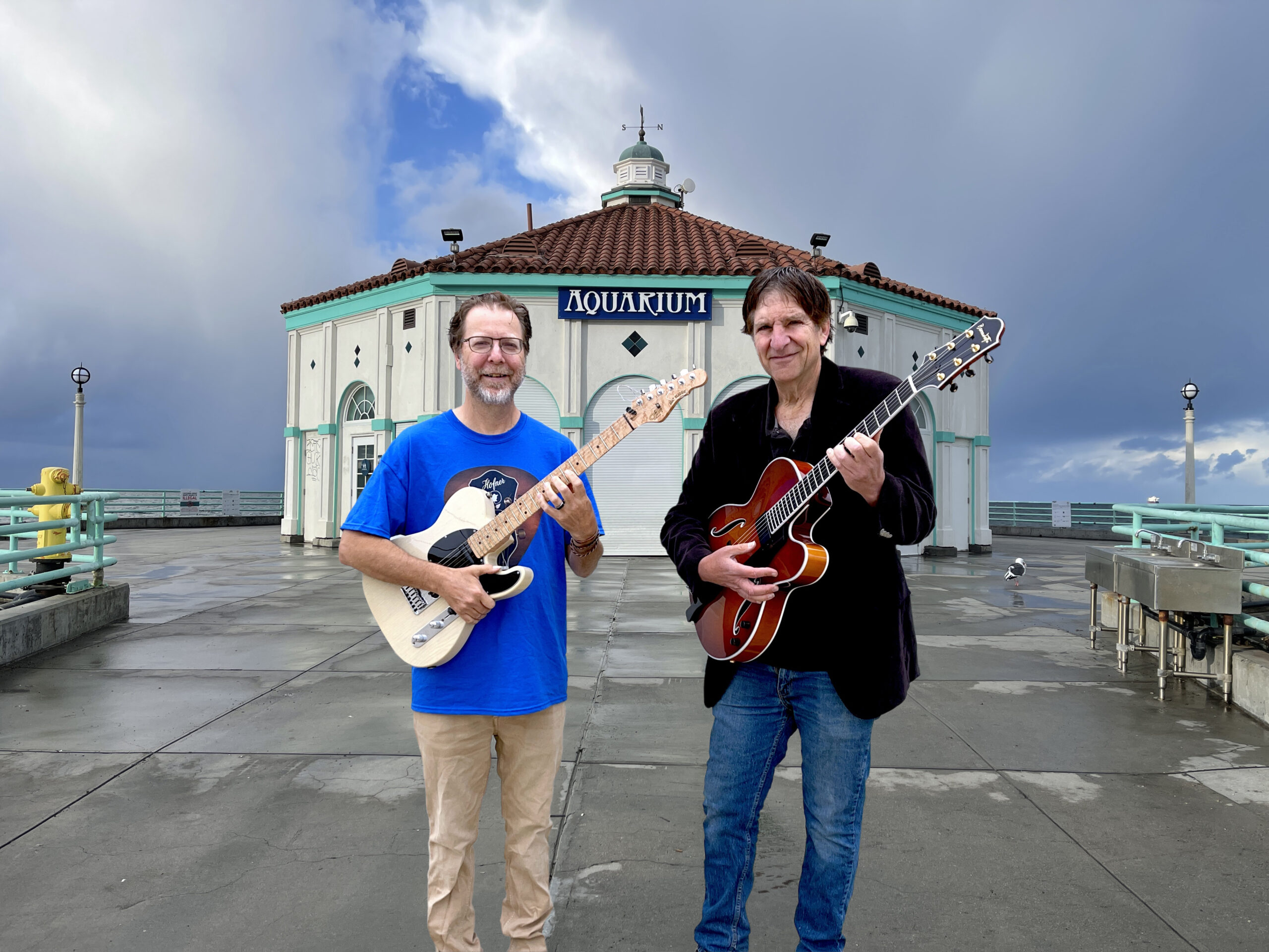 two guitars
