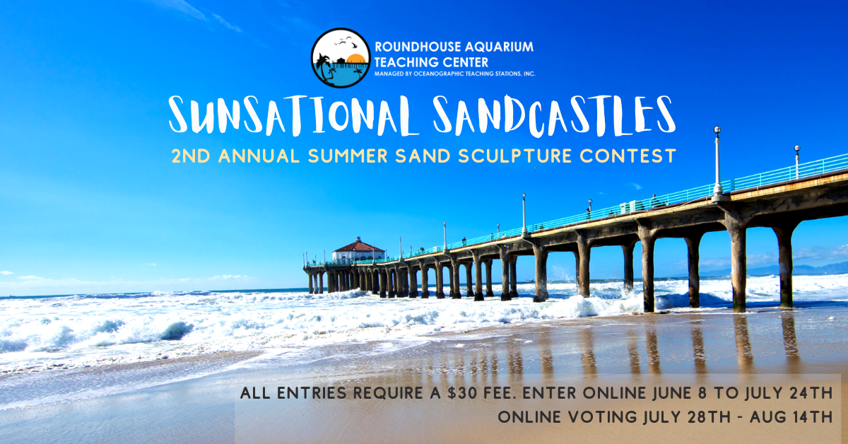 website registration open